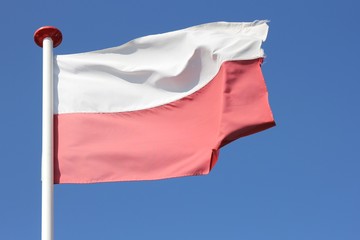 Naklejka na ściany i meble polnische Flagge im Wind