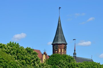 Fototapeta na wymiar Koenigsberg Cathedral and flowering chestnuts