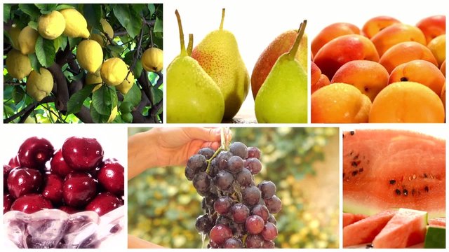montage including diverse fruits and fruit trees