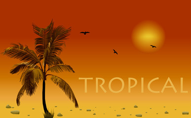 Sea and coconut palm. Vector sunset