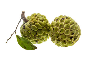 Fototapeta premium Noni fruit