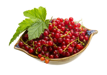 Red currant