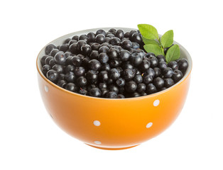 Blueberry