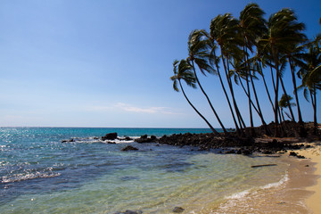 beach - Big Island - Hawaii
