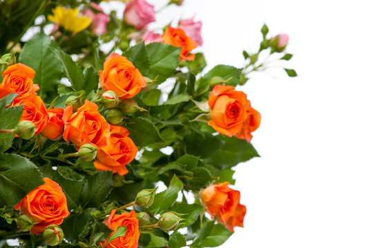 Close-up of a beautiful bouquet of orange roses. 