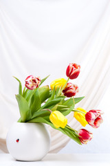 bouquet of colorful tulips in vase
