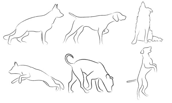 dog art