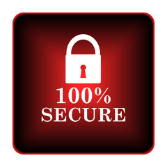 100 percent secure icon