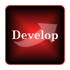 Develop icon