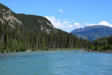 Fototapeta na wymiar Trout River in Muncho Lake Provincial Park, Canada
