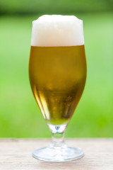 Elegant glass of cold refreshing beer