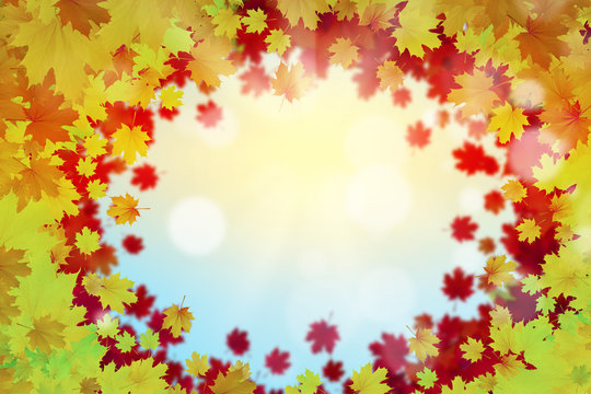 Autumn leaves