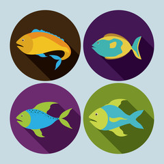 Fish design