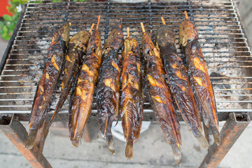 grilled walking catfish. grilled fish