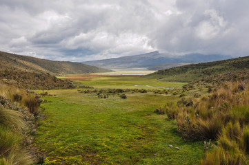Fototapeta na wymiar Cotopaxi National Park, Ecuador