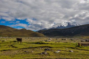 Volcano in Cotopaxi National Park, Ecuador