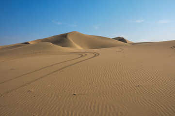 Fototapeta na wymiar Lonely in the desert of Huacachina, Peru