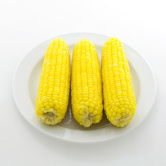 corn isolated on a white background