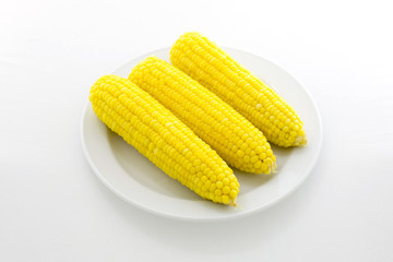 corn isolated on a white background