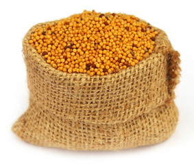 Golden Mustard in a sack bag