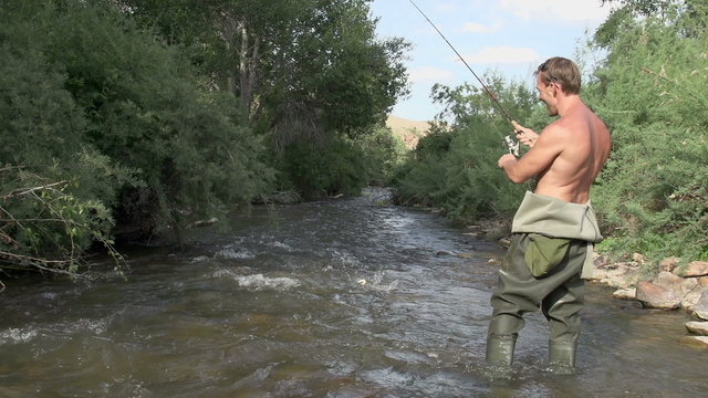 Caught Trout