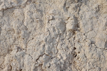 Naklejka premium Terre sèche