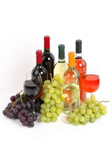 Obraz premium Bottiglie di vino