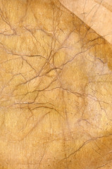 ancient grunge paper background