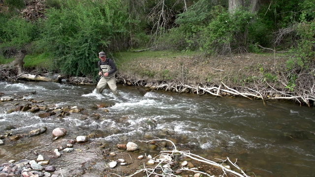In Search of Trout