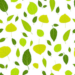 leaves seamless pattern