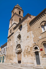 Fototapeta na wymiar Church of St. Severino. San Severo. Puglia. Italy.