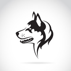 Vector image of a dog siberian husky on white background © yod67