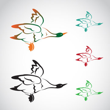 Vector image of an flying wild duck
