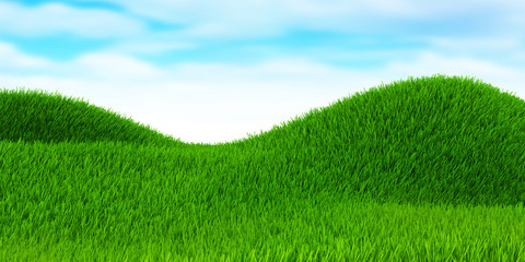 Green field and blue sky in countryside