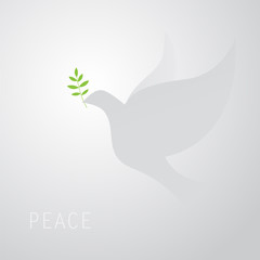 dove of peace