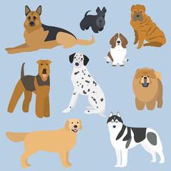 Flat design types of dogs part 2