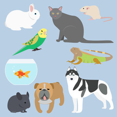 Flat design all kind of pets