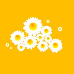 Abstract bright camomiles pattern design