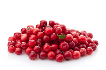 fresh red cowberries
