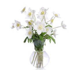 Beautiful bouquet of white flowers in transparent vase