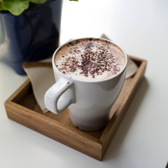 Cappuccino. Cup of Cappuccino Coffee