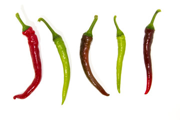 Hot chilli pepper