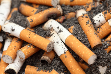 Cigarette butts