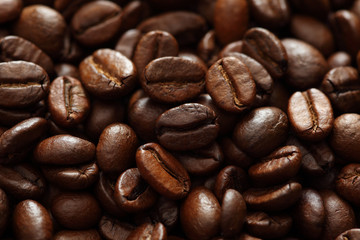 Coffee Beans (XXXL)