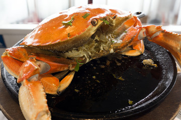 Dungeness crab