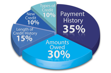 Calculate credit score pie chart