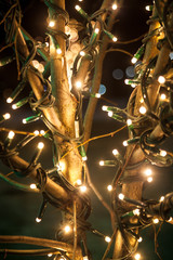 shot of tree decorated with lights at night