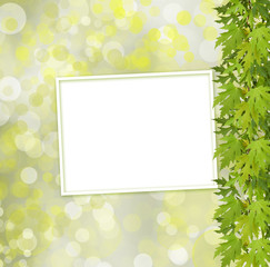 Green branch of  tree and paper frame on abstract background wit