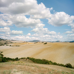 Fototapeta na wymiar Colline di Volterra - Toscana