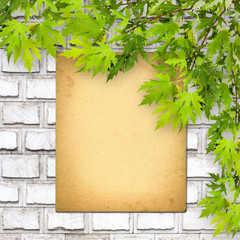 Old paper listing on white brick wall with bright green foliage